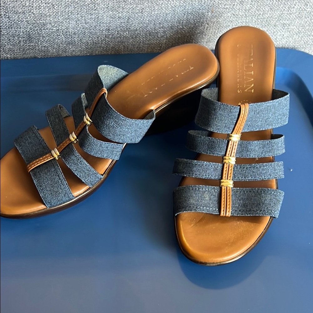 Italian Shoemakers Blue and Brown Mules with Stylish Straps